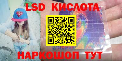 прущие грибы Пыть-Ях