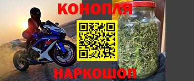 гидра Пушкино