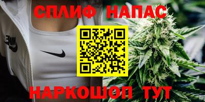 прущие грибы Пыть-Ях