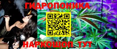 мдпв Пугачёв