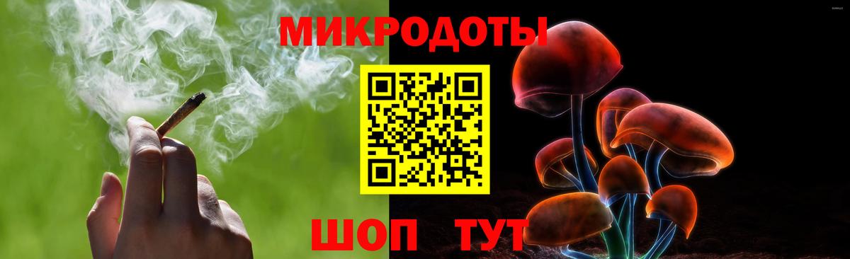 Галлюциногенные грибы Psilocybine cubensis Серпухов